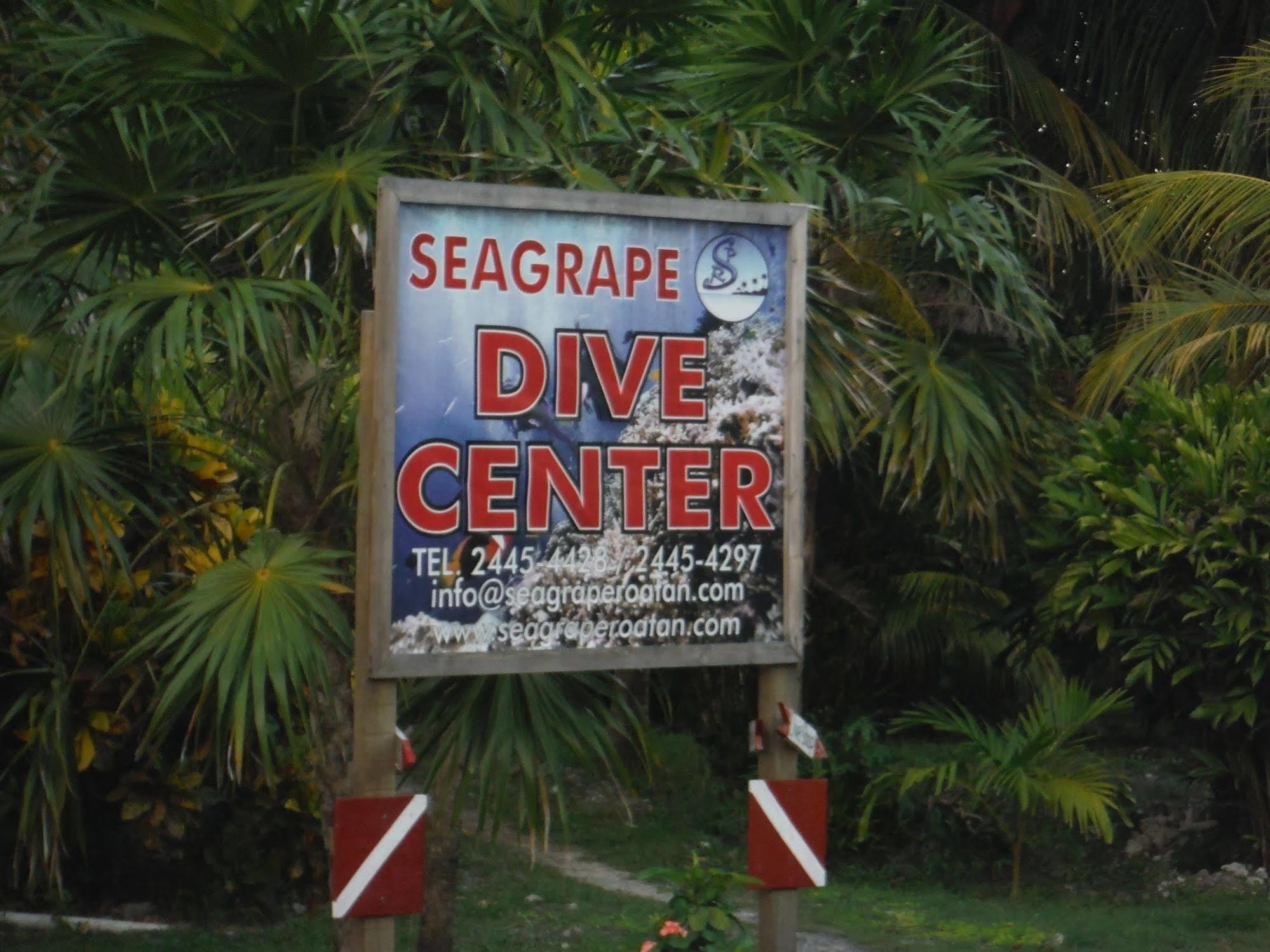 Seagrape Plantation Resort & Dive Center West End Exterior photo